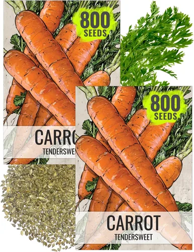 Miniatura 10 de Seed Needs, Tendersweet Semillas de zanahoria – 800 semillas de reliquia para plantar Daucus carota – Cultivadas en casa sin OMG y sin tratar