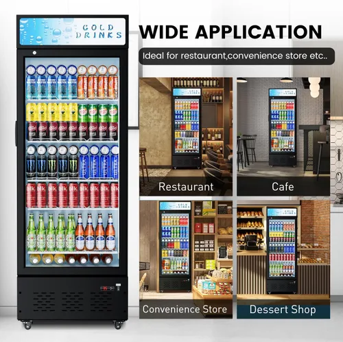 Miniatura 5 de Refrigeradores comerciales de bebidas Refrigerador de puerta de cristal Puerta de visualización vertical con estantes ajustables