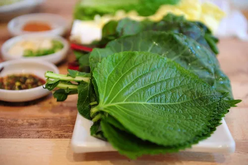 Miniatura 5 de Gaea's Blessing Semillas de Shiso coreanas (Perilla), semillas tradicionales sin OMG con instrucciones de siembra fáciles de seguir, perilla