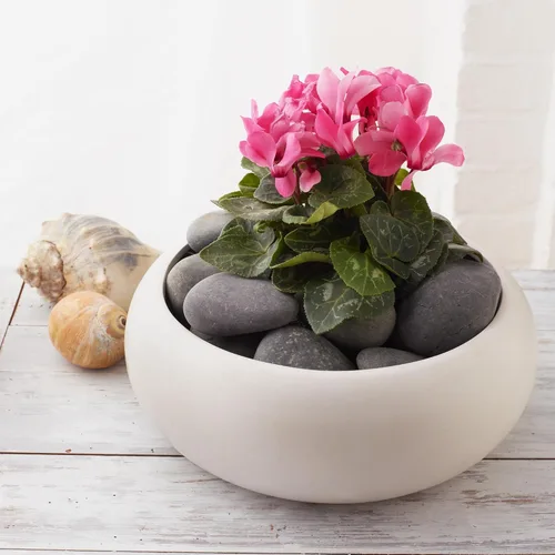 Miniatura 5 de Rocas planas de río para pintar jarrones, relleno de jarrones, acuario, grava, gris, grande, 5 libras, guijarros de paisajismo para plantas