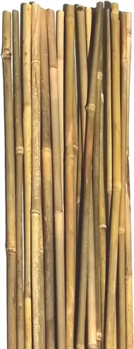 Miniatura 2 de Postes de bambú natural, estacas de jardín ecológicas de soporte para plantas, 16 pulgadas de largo (20 unidades)