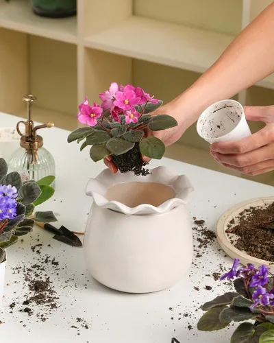 Miniatura 6 de Fayoula Maceta de riego automático, mantenimiento de macetas de violeta africana de 6 pulgadas, maceta de cerámica con riego automático para plantas