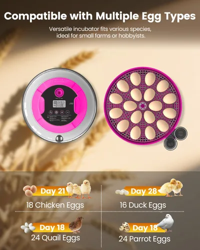 Miniatura 7 de Incubadora para incubar huevos, capacidad de 18 huevos, incubadoras con ovoscopio, girador automático de huevos, control de temperatura y humedad