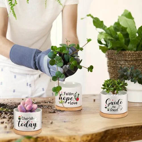 Miniatura 5 de 6 piezas de juego de regalos con versículos de la Biblia cristiana, gracioso juego de macetas para plantas suculentas con bandeja de bambú, maceta