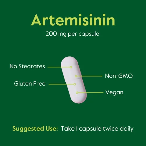 Miniatura 5 de BESTVITE Artemisinina 200mg por cápsula (60 cápsulas vegetarianas) - Sin estearatos - Sin agentes de flujo - Vegano - Sin OMG - Sin gluten