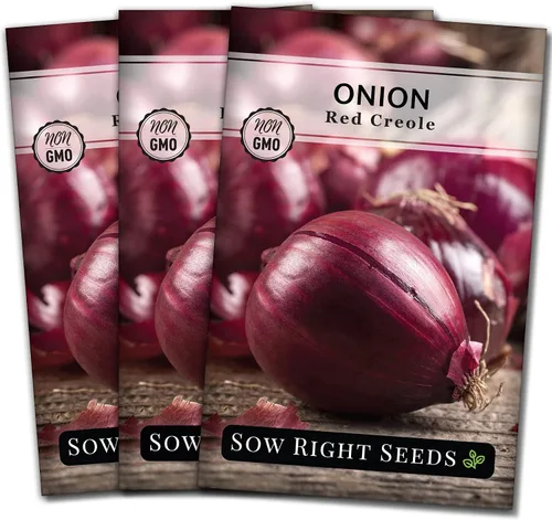Miniatura 7 de Sow Right Seeds - Semillas de cebolla criolla roja para plantar - Paquete de reliquia sin OMG con instrucciones para plantar un huerto casero