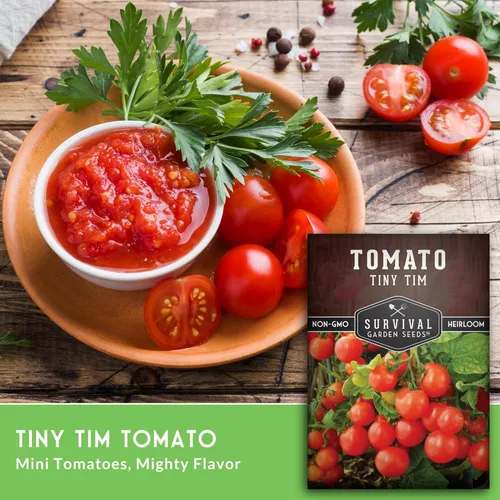 Miniatura 3 de Tiny Tim Semillas de tomate – Tomates cherry enanos para plantar en interiores o patio, variedad de reliquia compacta para contenedores, alto