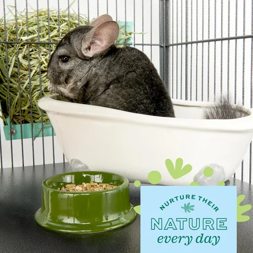 Miniatura 2 de Oxbow POOF! Baño de Polvo para Chinchillas, 100% Natural Polvo Azul Belleza para Chinchillas, Degus, Gerbillos y Hámsters, Aseo para Animales