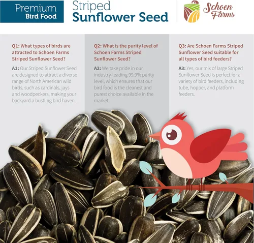Miniatura 5 de Schoen Farms Semillas de girasol a rayas – Alimento para pájaros – Bolsa de 3 libras – Limpio, Semilla de pájaro para pinzones, arrendajos