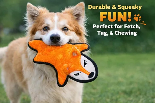 Miniatura 8 de Jalousie Paquete de 5 juguetes chirriantes ultra resistentes para perros grandes, sin ensuciar, interactivos, duraderos, de felpa, indestructibles