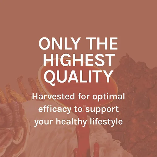 Miniatura 8 de Host Defense MycoBotanicals Hígado* Cápsulas – Suplemento de salud hepática con cardo mariano y raíz de cúrcuma – Suplemento de hongos con cola