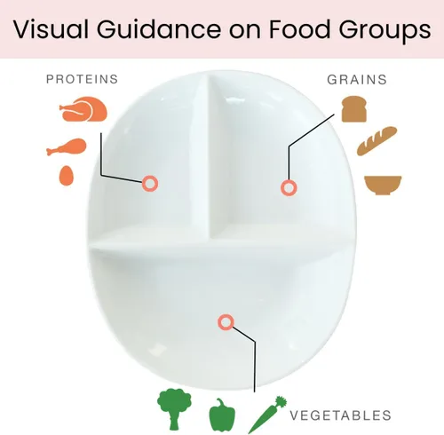 Miniatura 3 de Uba Placa de control de porciones (PORCELANA) para adultos para una dieta saludable