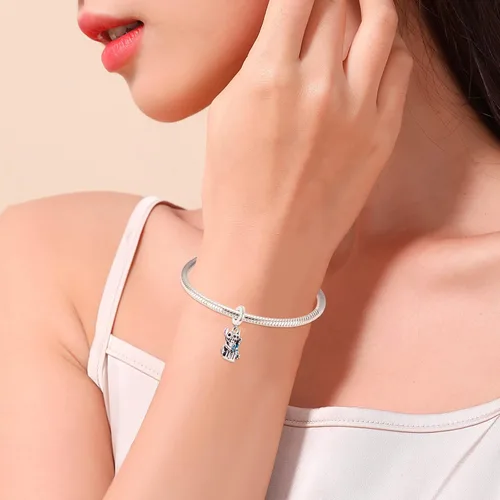 Miniatura 5 de S925 Sterling Silver Charm Pendant Dangle Beads Spider Movie for Bracelet Necklace for Women Girls Gifts