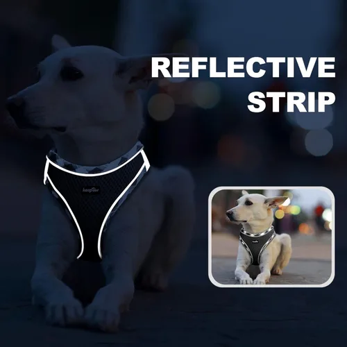 Miniatura 5 de haapaw - Arnés para perro con correa, arnés reflectante, ajustable y sin tirones para cachorros con chaleco acolchado para perros Negro