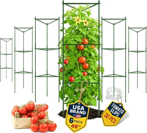Miniatura 13 de Jaula de tomate – Estacas grandes de enrejado y estructuras de soporte para plantas para verduras y plantas trepadoras – Jaulas altas para tomate