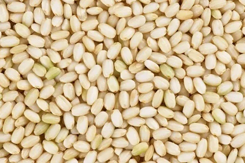 Miniatura 3 de ROM AMERICA Arroz integral glutinoso dulce y pegajoso de grano corto para cocina asiática y postres, risotto, gachas, tazón de desayuno saludable