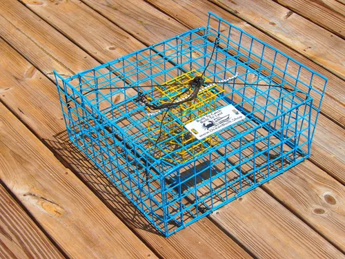 Miniatura 5 de Massachusetts - Trampa plegable para cangrejos azul, malla de alambre de metal resistente, diseño plegable plegable, 15 x 15 x 7 pulgadas