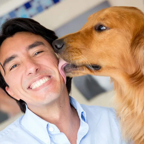 Miniatura 9 de Teamoy Pañales Envolventes Reutilizables para Perros Machos, Banda Lavable para el Vientre de Cachorro Paquete de 3