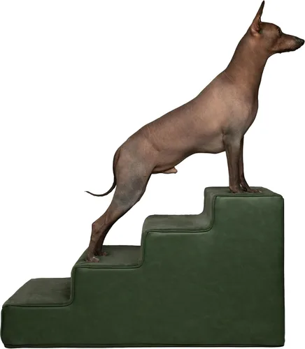 Miniatura 14 de Noah & Paw Escaleras para Perros, Rampa para Perros para Cama (17" Extra Ancha) Escaleras para Mascotas para Cama Alta, Diseñadas para Razas