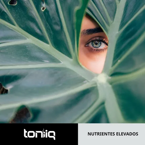 Miniatura 7 de Toniiq Cápsulas de Resveratrol de ultra alta pureza - 98% Trans-Resveratrol - Altamente purificado y biodisponible - 60 cápsulas Suplemento
