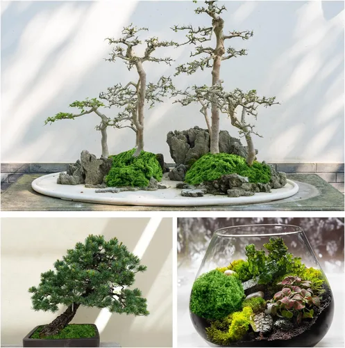 Miniatura 3 de Draupnir Musgo verde falso para plantas en maceta, musgo falso de 10.6 onzas para plantas de interior, musgo sintético para manualidades, decoración