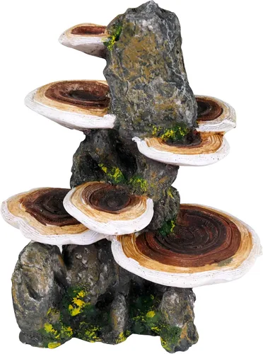 Miniatura 2 de Penn-Plax Deco-Réplicas - Tronco de árbol con estante para decoración de acuario de hongos, seguro para peceras de agua dulce y salada