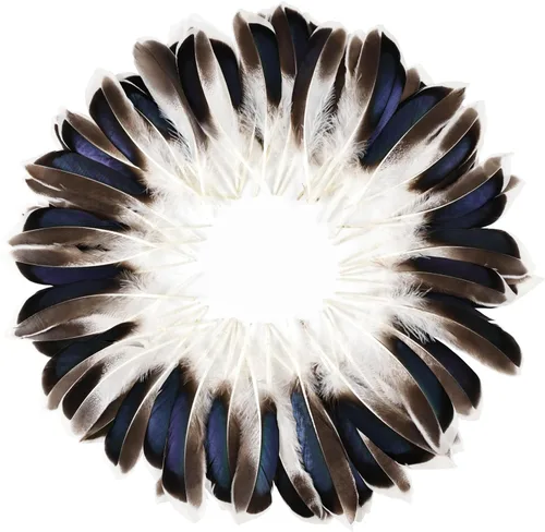 Miniatura 8 de FeelfunFeather 60 plumas de plumaje de faisán azul aguamarina de 2-3 pulgadas, plumas de plumaje naturales esponjosas moteadas para costura