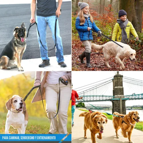 Miniatura 5 de Correa resistente para perro, 2 asas con asa de tráfico acolchada para control adicional, 6 pies de largo, perfecta para perros medianos a grandes