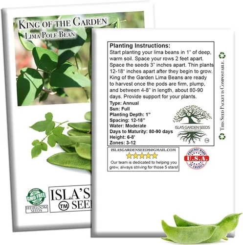 Miniatura 7 de King of The Garden - Semillas de frijol Lima (Pole Lima, Phaseolus lunatus) – Más de 25 semillas de reliquia no transgénicas de Isla's Garden Seeds