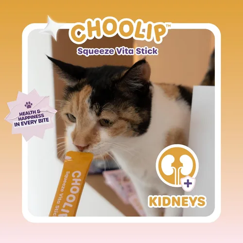 Miniatura 8 de Choolip Squeeze Vita Stick - Golosinas para lamer para gatos y perros, 49 unidades de atún y abadejo con calabaza, arándano y omega-3, caja con 7