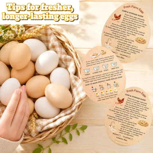Miniatura 4 de Tarjetas de instrucciones de manejo de huevos de Fresh Farm – 2.7 x 3.5 pulgadas – Estilo en forma de huevos – Sellos de huevos para el cuidado
