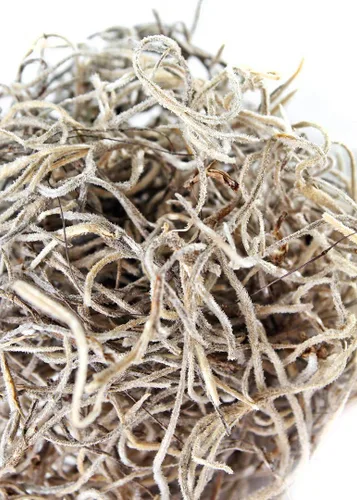 Miniatura 5 de SuperMoss (26926) Musgo Español Seco, Natural, 1.36 Kilogramos