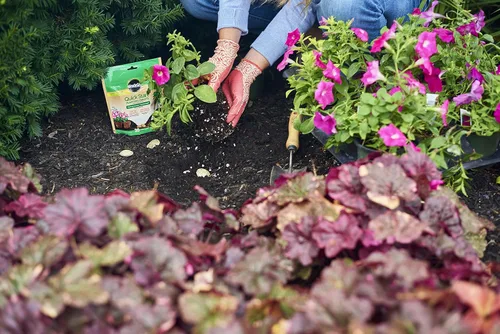 Miniatura 6 de Miracle-Gro Tabletas de siembra de inicio rápido (paquete de 2)