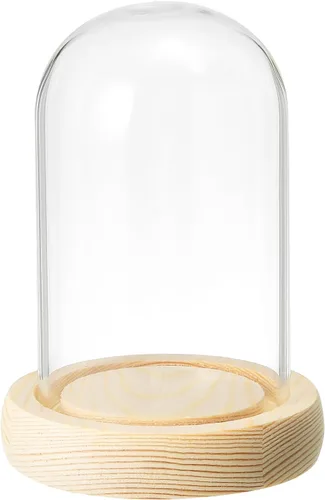 PATIKIL Cúpula de cristal transparente Cloche de 3.9 x 2.4 pulgadas, vitrina de cristal con base de madera para decoración del hogar y plantas