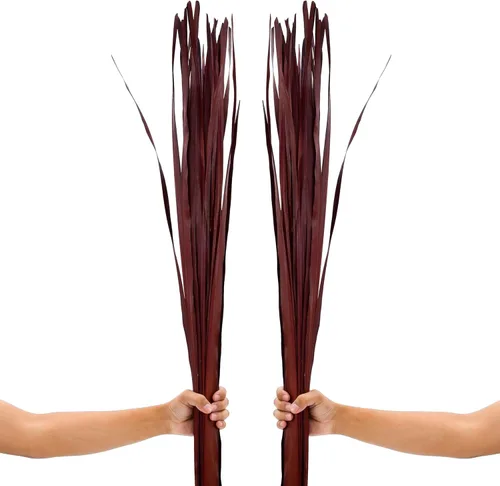 Miniatura 12 de Leewadee Relleno de Jarrón Alto, Tallos de Hierba Natural – 2 Manojos de Ramas de Colores para Jarrones, Ramitas Cuidadosamente Secas para Burdeos