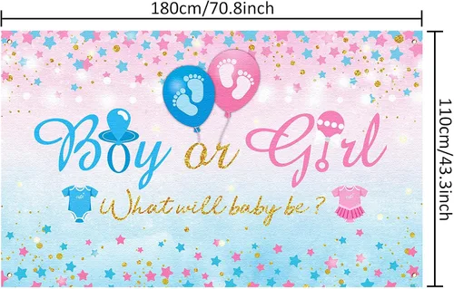 Miniatura 2 de Fondo de revelación de género para niño o niña, fondo azul y rosa para fiesta de revelación de género, cartel con texto en inglés «What Will Baby