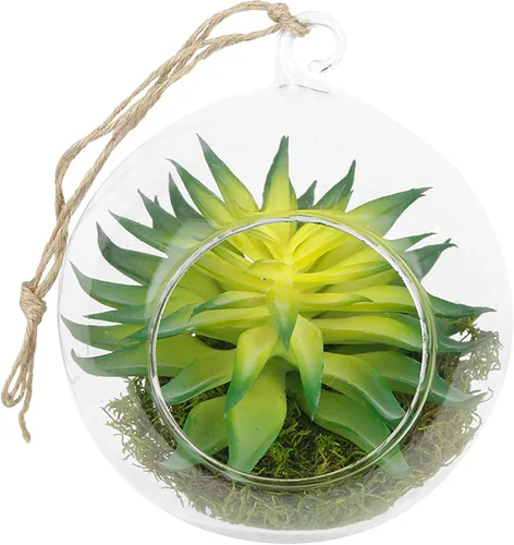 Maceta colgante de vidrio terrario para plantas de interior, globos de vidrio colgantes con plantas suculentas falsas y soporte de helecho de aire