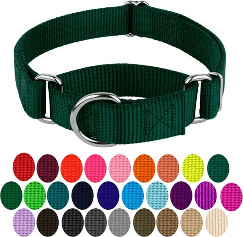 Miniatura 4 de Country Brook Petz - Collar Martingale para perro - Collar de entrenamiento resistente sin hebilla - Collar para perros de servicio para todos