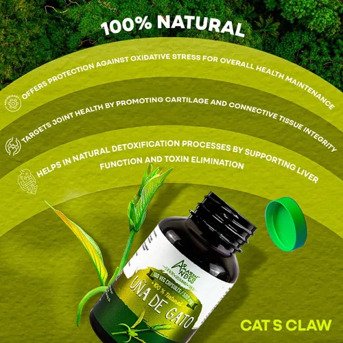 Miniatura 3 de Uña de Gato (Uncaria Tormentosa) Cápsulas l 1000 mg por porción de superalimento l Articulaciones, Partidario de sistemas inmunes y cardiovasculares