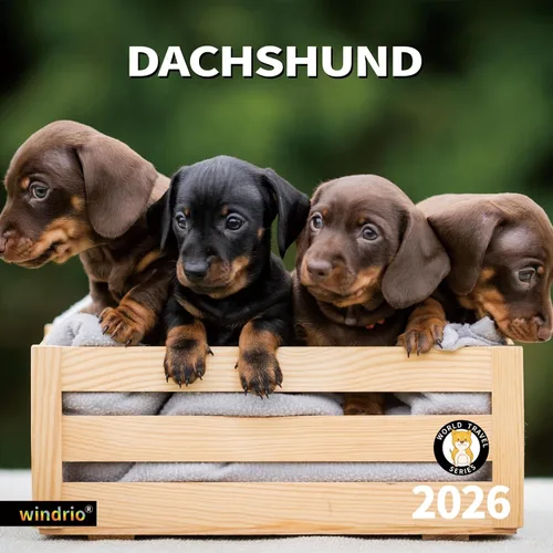 Miniatura 11 de Calendario de pared 2026, calendario 2026, noviembre de 2025 a diciembre de 2026, calendario de pared Beagles, 12 x 24 pulgadas abierto, página