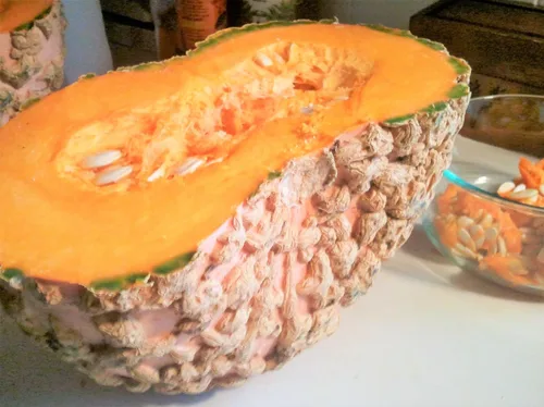Miniatura 5 de TomorrowSeeds - Semillas de calabaza de maní (Galeux d'Eysines) - Paquete de 10 unidades - para calabazas de Halloween francesas de duende verrugoso