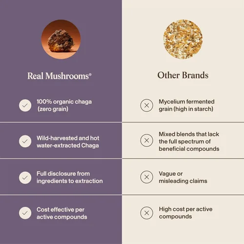 Miniatura 6 de Real Mushrooms Polvo de hongos Chaga – Extracto orgánico de Chaga de cuerpo fructífero – para bienestar y apoyo energético – Vegano, sin OMG, 150