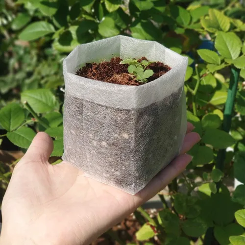 Miniatura 3 de Belit Bolsas de cultivo para guardería, 100 macetas de tela no tejidas para plantar semillas de jardinería, papa, flores, plantas de tomate