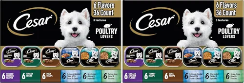 Miniatura 23 de Cesar - Comida húmeda para perros amantes de los filetes, para adultos, comida húmeda para perros con carne real, bandejas de 3.5 onzas fáciles