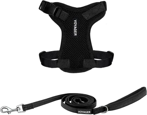 Miniatura 33 de Best Pet Supplies Voyager Step-in Lock - Arnés para mascotas con correa reflectante para mascotas, con mango de neopreno de 5 pies, soporta