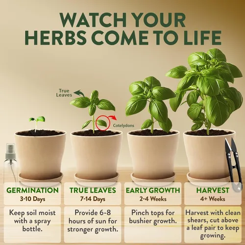 Miniatura 6 de Kit de plantador de jardín de hierbas HOME GROWN para interior – Regalo navideño único para adultos, hombres y mujeres - Cultiva 4 semillas