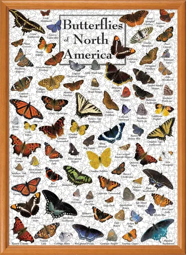 Miniatura 4 de MasterPieces Rompecabezas de 1000 piezas para adultos, familia o jóvenes, mariposas de América del Norte, 19.25 x 26.75 pulgadas