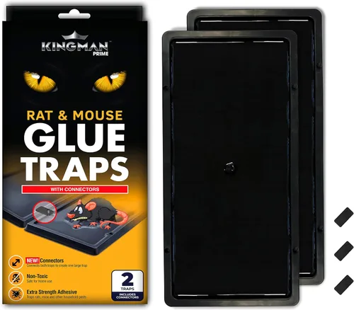 Trampa de Pegamento para Ratas Ratones Roedores Plagas (Tamaño Grande) Bandeja Resistente (24 Trampas) con Conectores