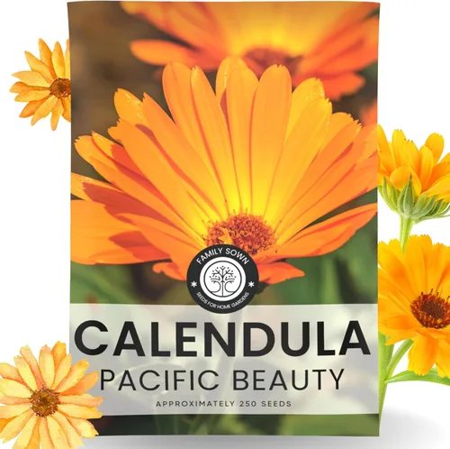 Miniatura 8 de Calendula Pacific Beauty - Paquete grande de 1 onza - 3,000 semillas de flores para plantar - Calendula officinalis
