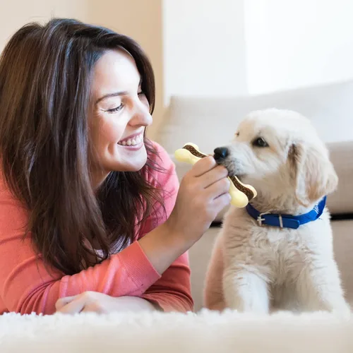 Miniatura 5 de Sosation - Juguetes en forma de hueso para perros para masticadores agresivos, pack de 2 juguetes navideños para cachorros en etapa de dentición